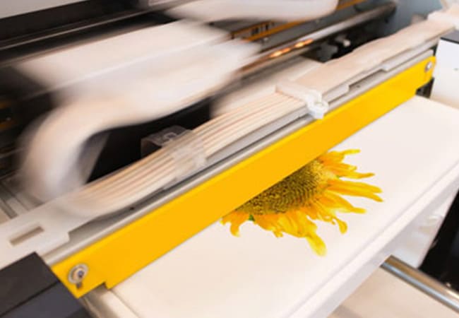 Vinyl printing - digital printing in Railway Terrace, AS